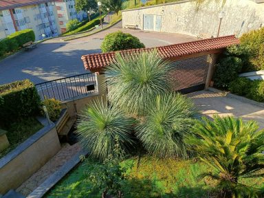 Vistas desde terraza 102 y 103 Vista de un jardín con plantas exóticas y una entrada a una casa.