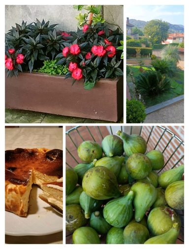 Detalles que hacen hogar Flores en una maceta, un paisaje verde, higos frescos en una cesta y tarta en un plato.