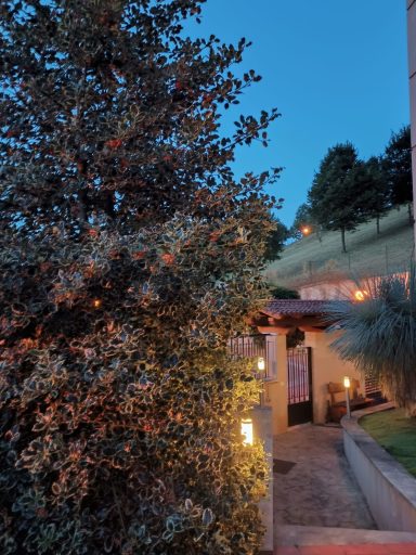 Entrada iluminada Entrada de una casa con iluminación cálida, rodeada de árboles y césped al atardecer.