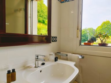 Baño privado habitación 102 Baño luminoso con lavabo, espejo y plantas en la ventana.
